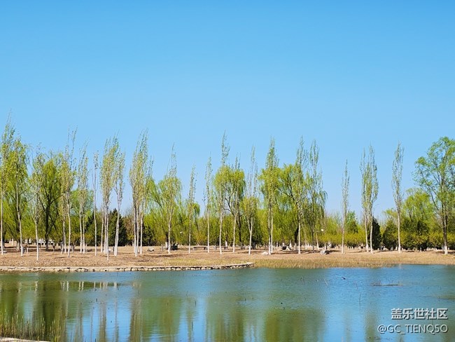 早春時(shí)的景色