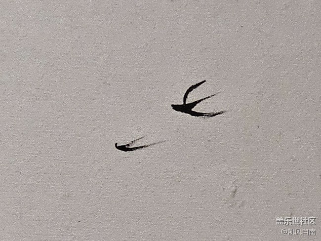 ?成都星部落折疊新品快閃店回顧