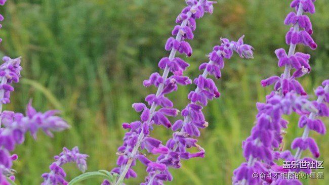 Galaxy S 23Ultra 10倍鏡頭4K60記錄生活