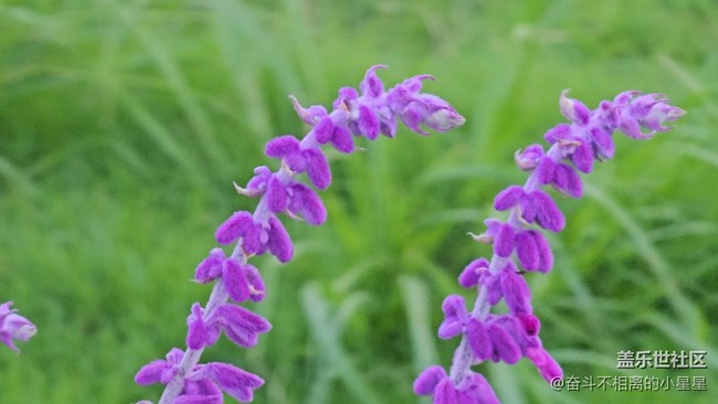 Galaxy S 23Ultra 10倍鏡頭4K60記錄生活