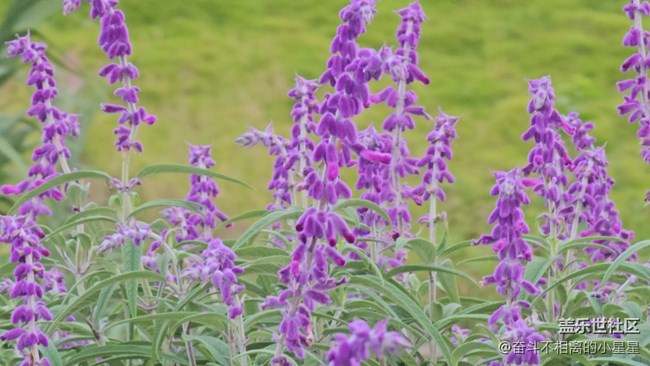 Galaxy S 23Ultra 10倍鏡頭4K60記錄生活