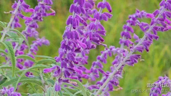 Galaxy S 23Ultra 10倍鏡頭4K60記錄生活