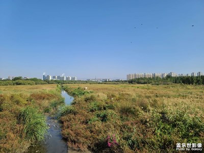 【城市名片】賽汗塔拉草原