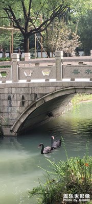 夫唱婦隨