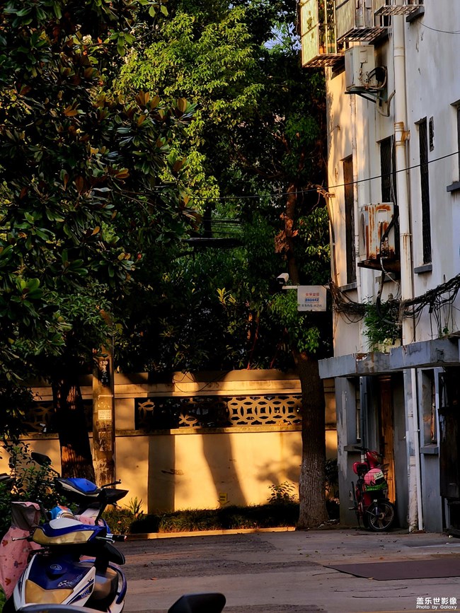 《精品大咖秀》 第十六期：最喜歡的Z系列