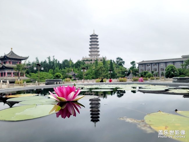 《精品大咖秀》 第十六期：最喜歡的Z系列