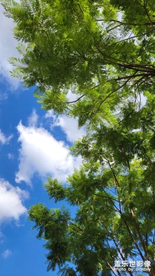 【最美初秋】+

城市綠色