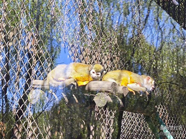 沈陽星部落動物園攝影活動回顧