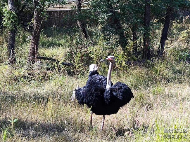 沈陽星部落動物園攝影活動回顧