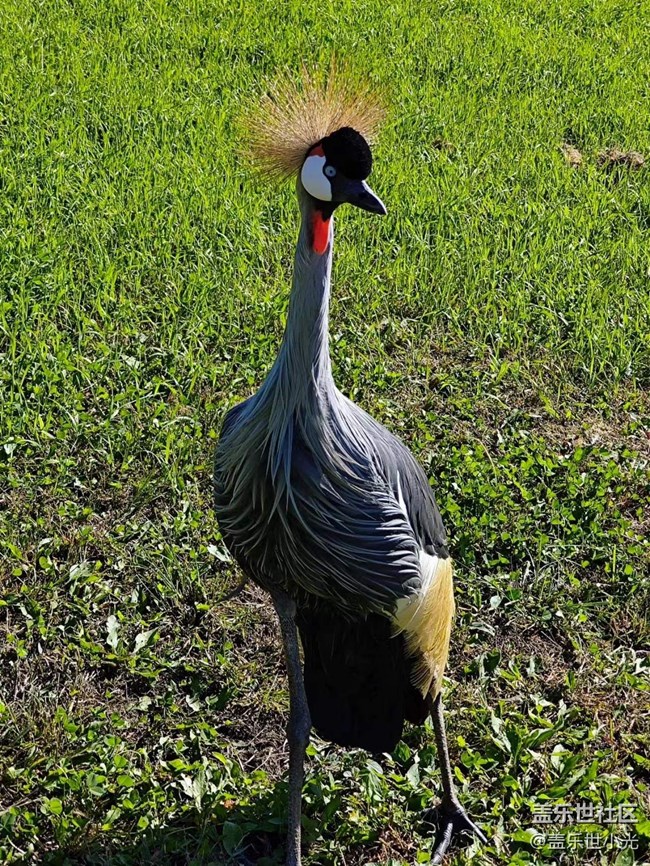 沈陽星部落動物園攝影活動回顧