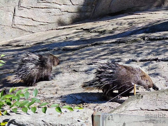 沈陽星部落動物園攝影活動回顧