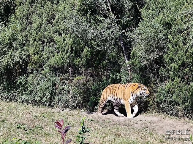 沈陽星部落動物園攝影活動回顧