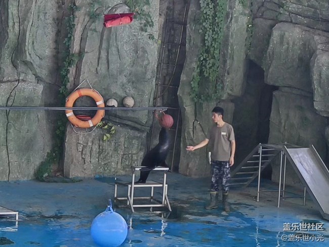 沈陽星部落動物園攝影活動回顧