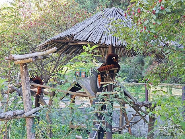 沈陽星部落動物園攝影活動回顧