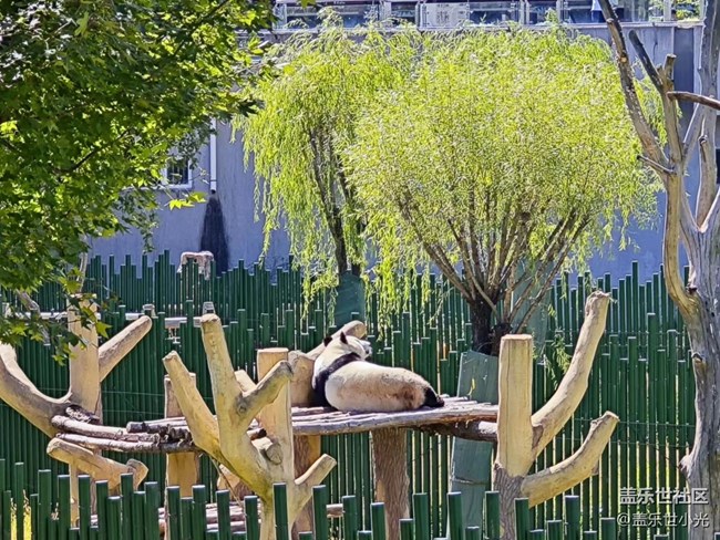 沈陽星部落動物園攝影活動回顧
