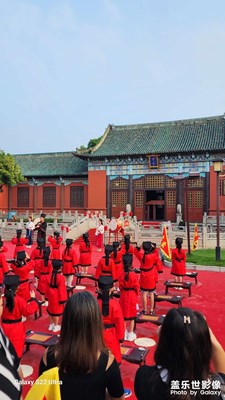 小樹苗