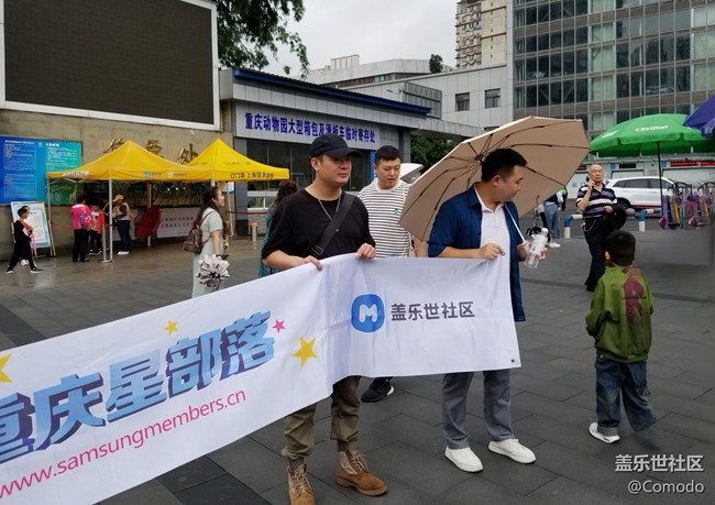【重慶動物園】打卡大熊貓