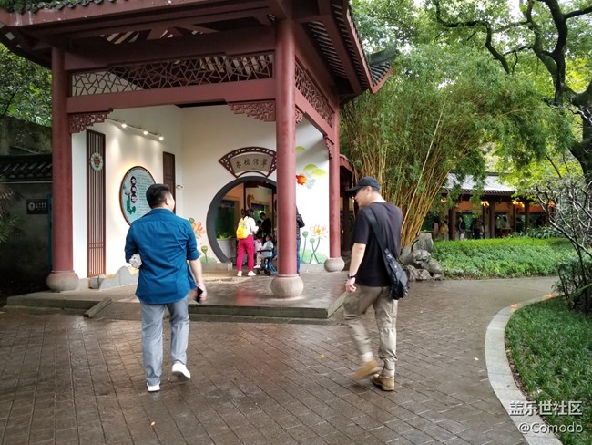 【重慶動物園】打卡大熊貓