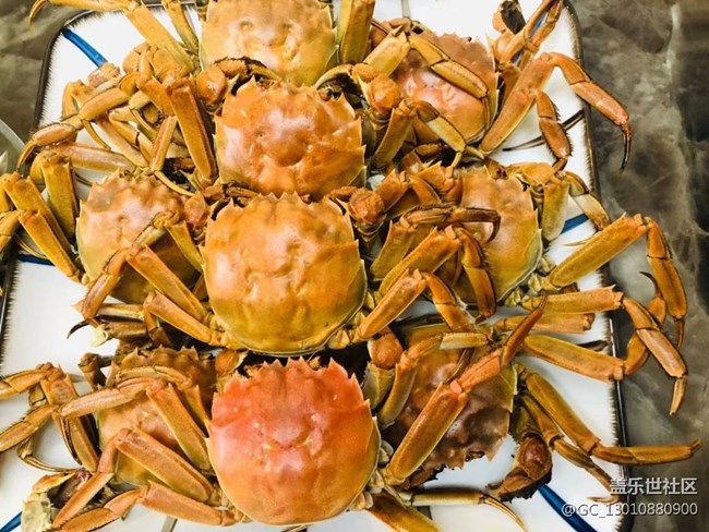 【月明桂香】美食當前