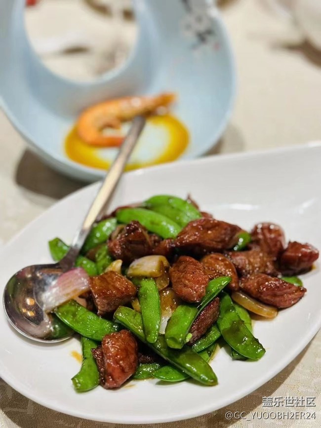 【月明桂香】美好的假期