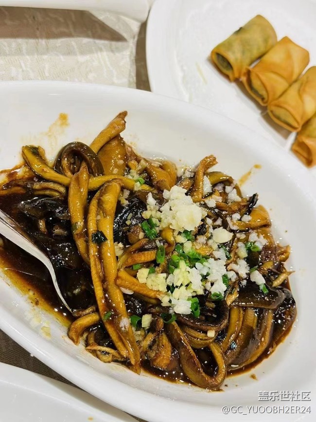 【月明桂香】美好的假期