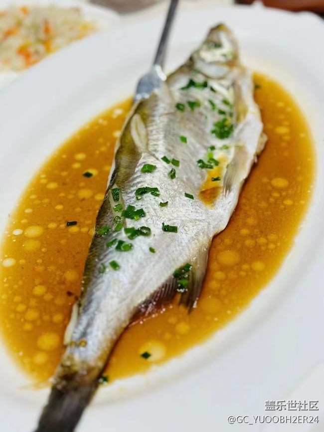 【月明桂香】美好的假期