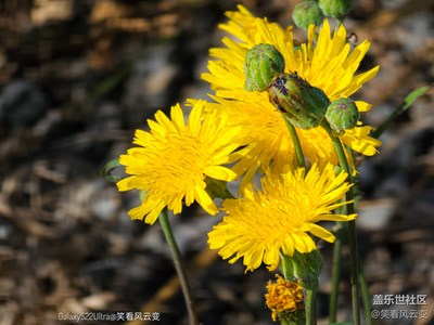 已開獎【蓋樂世影像周賽第312期】—— 別樣精彩