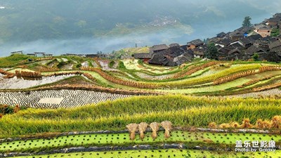 【雙節(jié)小長假】黔東南云游加榜梯田