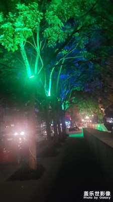 【雙節(jié)小長(zhǎng)假】秋風(fēng)起