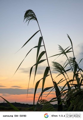 【雙節(jié)小長(zhǎng)假】+隨拍夕陽(yáng)