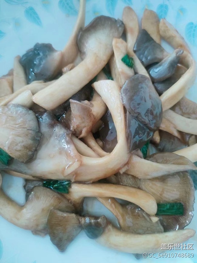 【月明桂香】吃飯