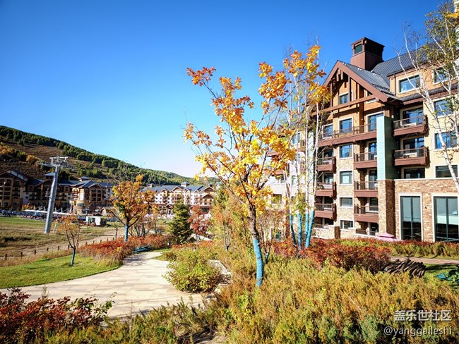 S23U國(guó)慶照片