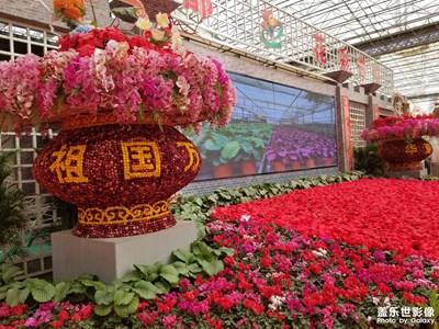 【雙節(jié)小長假】花卉博覽會(huì)
