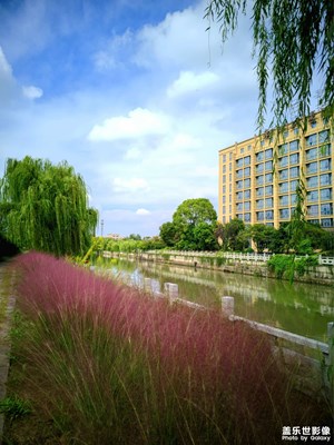 家門口的風(fēng)景