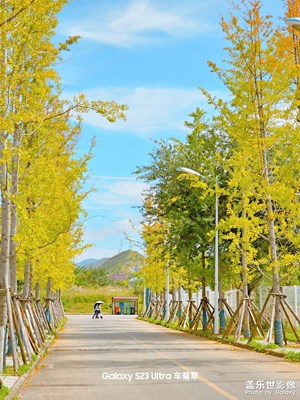 【別樣精彩】秋日絮語