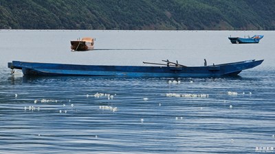 【雙節(jié)小長假】碧海藍天，水性楊花