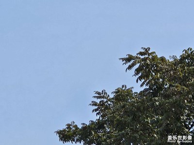 【雙節(jié)小長假】假期結(jié)束