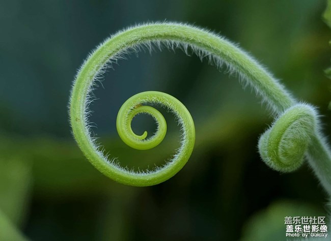 《精品大咖秀》 第十八期：2023年所有假期已結(jié)束