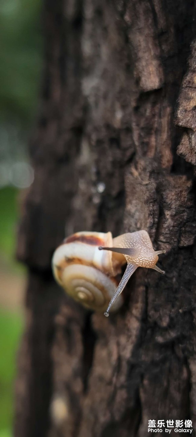 《精品大咖秀》 第十八期：2023年所有假期已結(jié)束