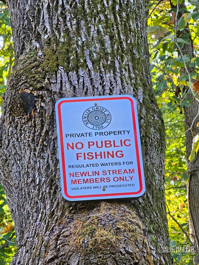 明年的5倍高像素遠(yuǎn)攝，應(yīng)該打不過(guò)S23U