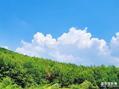 這不是畫(huà)，這是五彩斑斕的人生理想