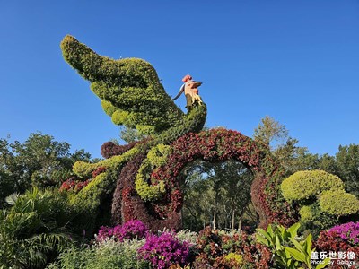 國(guó)家植物園第二屆菊花展