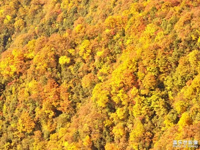 秋日龍頭山
