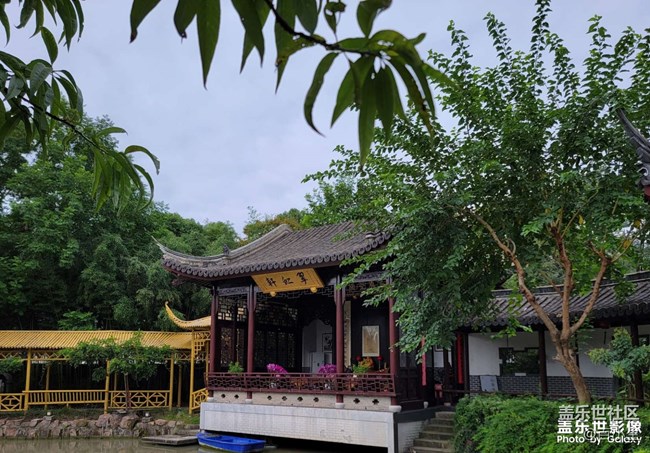 《精品大咖秀》 第十九期：節(jié)后綜合癥