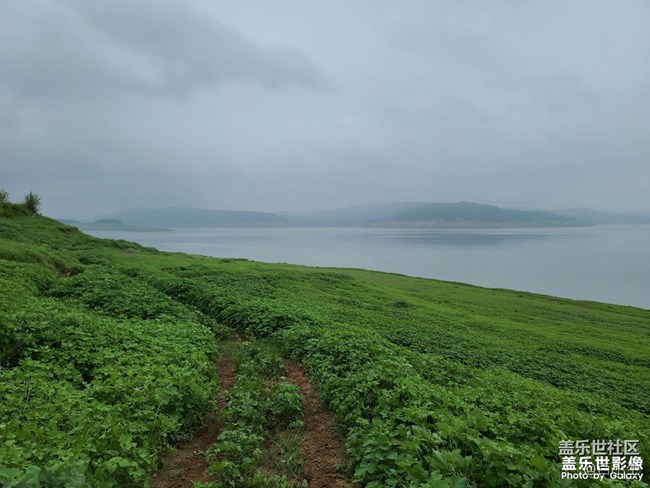 《精品大咖秀》 第十九期：節(jié)后綜合癥