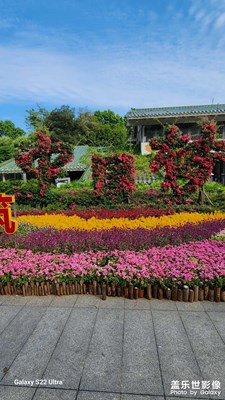 游園隨照