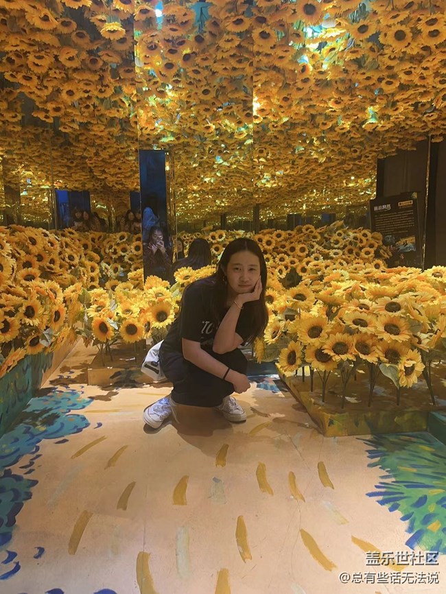 沈陽梵高星空藝術(shù)展回顧