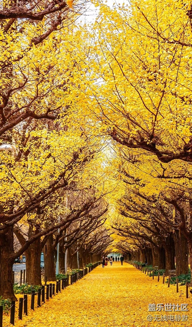 华北大区23年第六场线上摄影活动【登高赏秋】