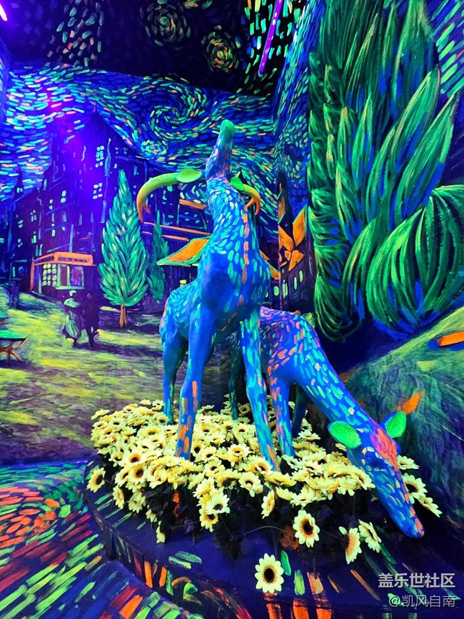 一場(chǎng)有關(guān)星空與藝術(shù)的回顧