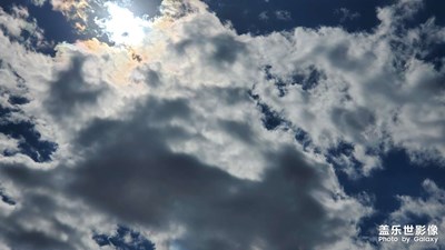【賞秋正當(dāng)時(shí)】秋風(fēng)起